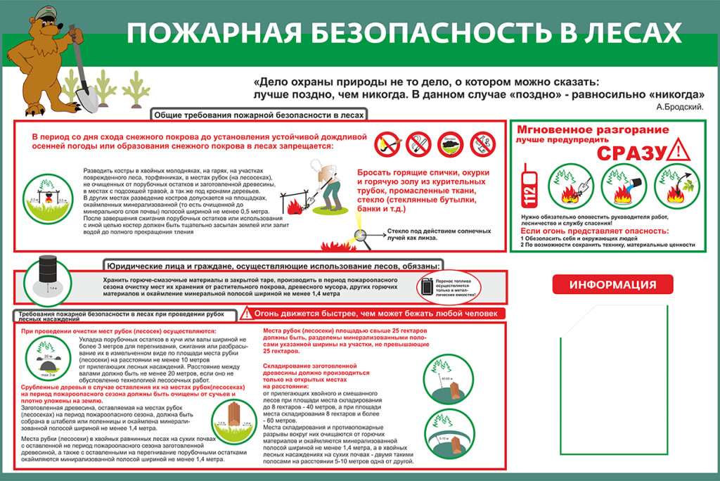 Пожарная безопасность в лесах